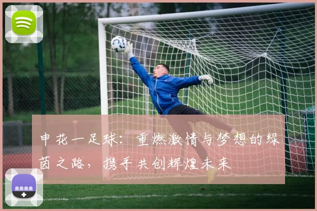 申花一足球：重燃激情与梦想的绿茵之路，携手共创辉煌未来