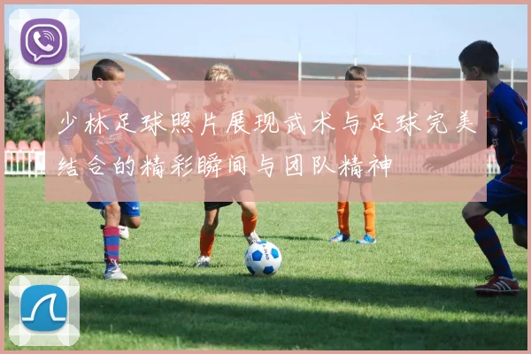 少林足球照片展现武术与足球完美结合的精彩瞬间与团队精神