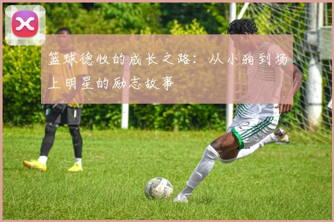 篮球德牧的成长之路：从小狗到场上明星的励志故事