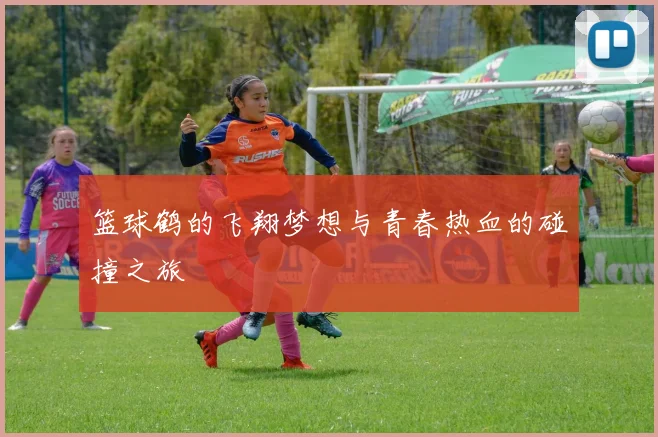 篮球鹤的飞翔梦想与青春热血的碰撞之旅