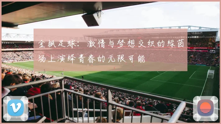 金枫足球：激情与梦想交织的绿茵场上演绎青春的无限可能