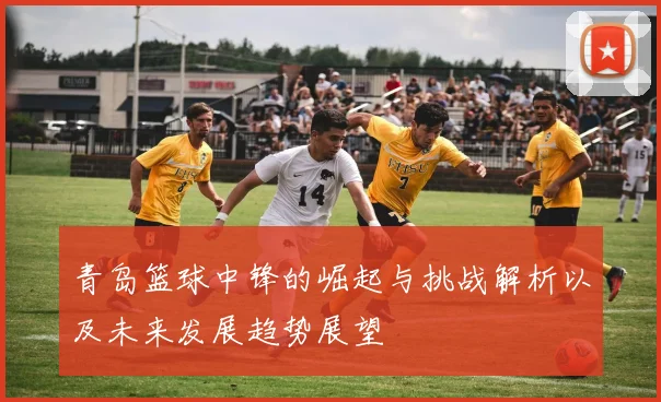 青岛篮球中锋的崛起与挑战解析以及未来发展趋势展望