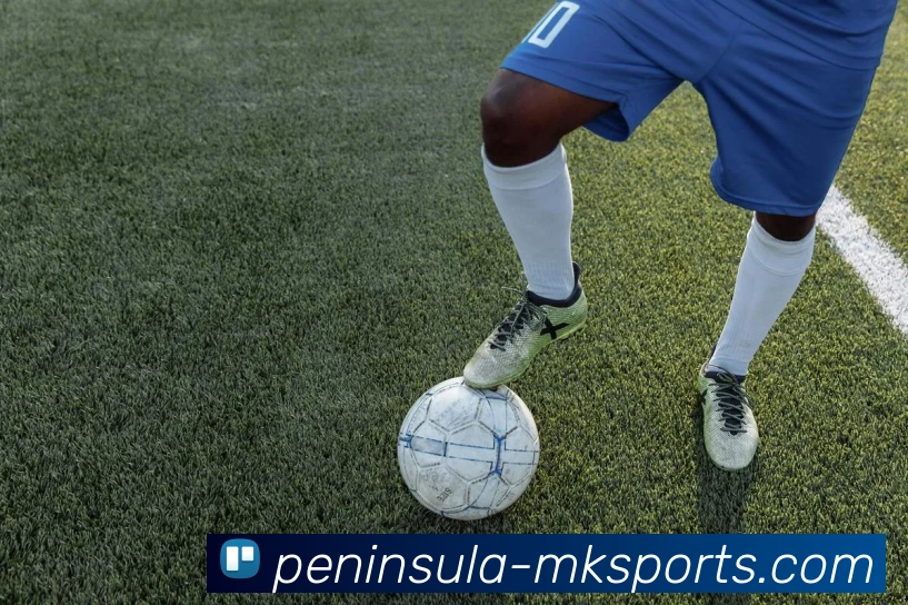 多媒体互动体验